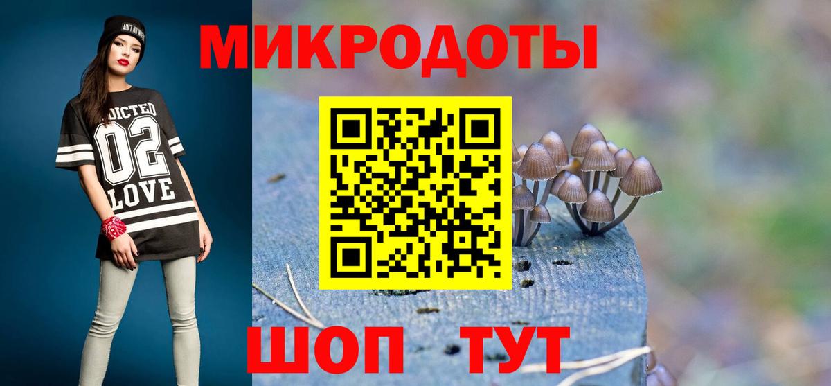 Псилоцибиновые грибы Cubensis  Вход с VPN  Мончегорск 